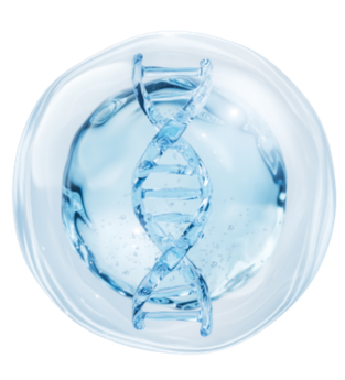 DNA